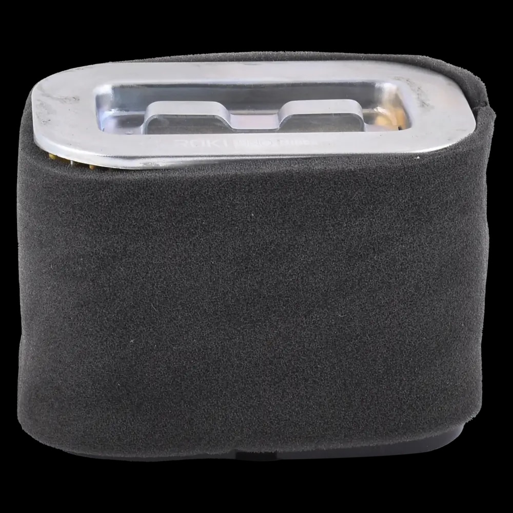TVS NTorq 125 Air Filter