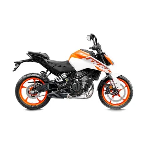 250 Duke