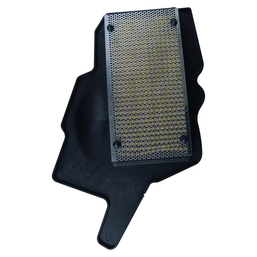 TVS Raider 125 BS6 Air Filter